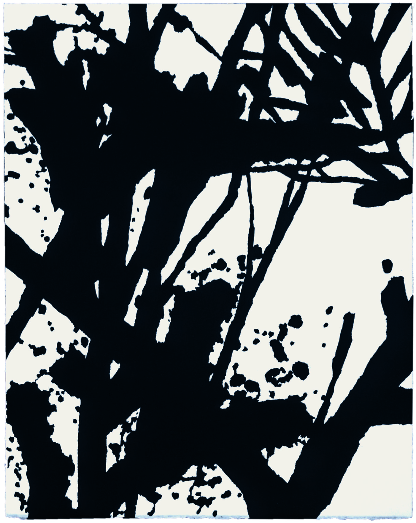 tableau noir et blanc